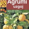 Agrumi - uzgoj Agrumi - uzgoj