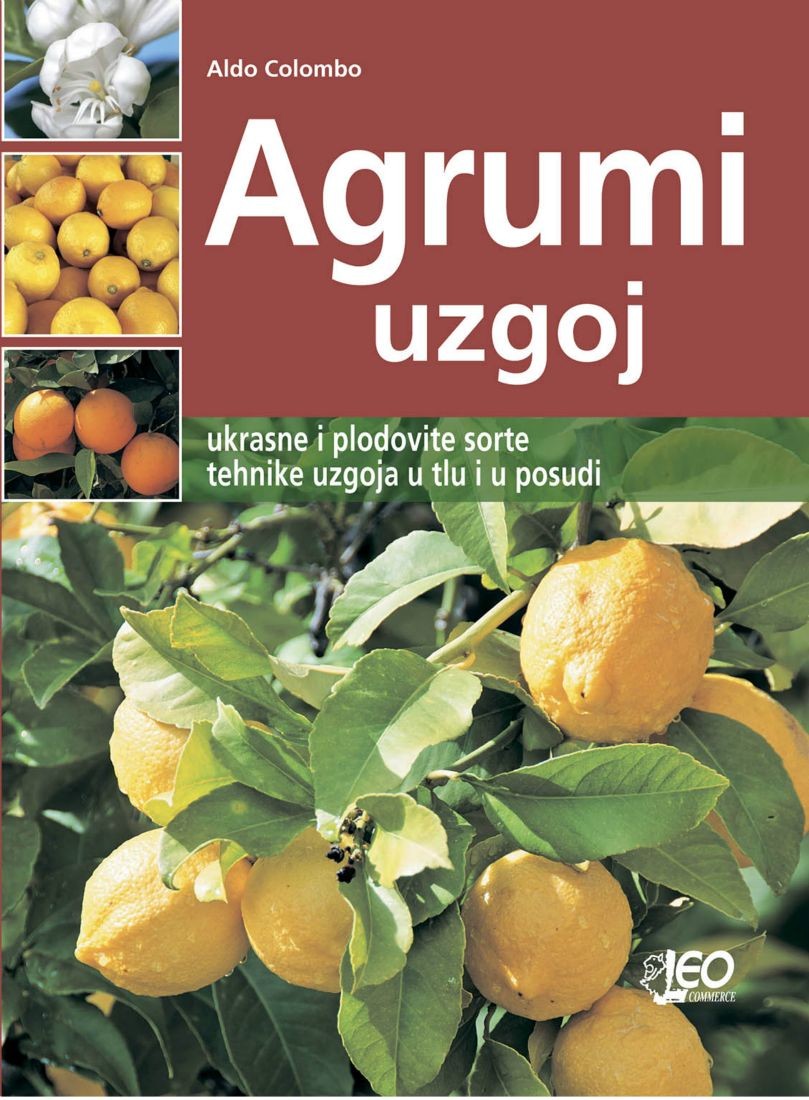 Agrumi - uzgoj Agrumi - uzgoj