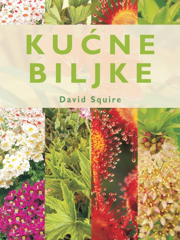 Kućne biljke