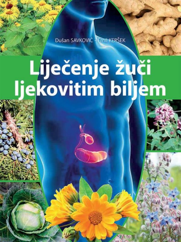 Liječenje žuči ljekovitim biljem