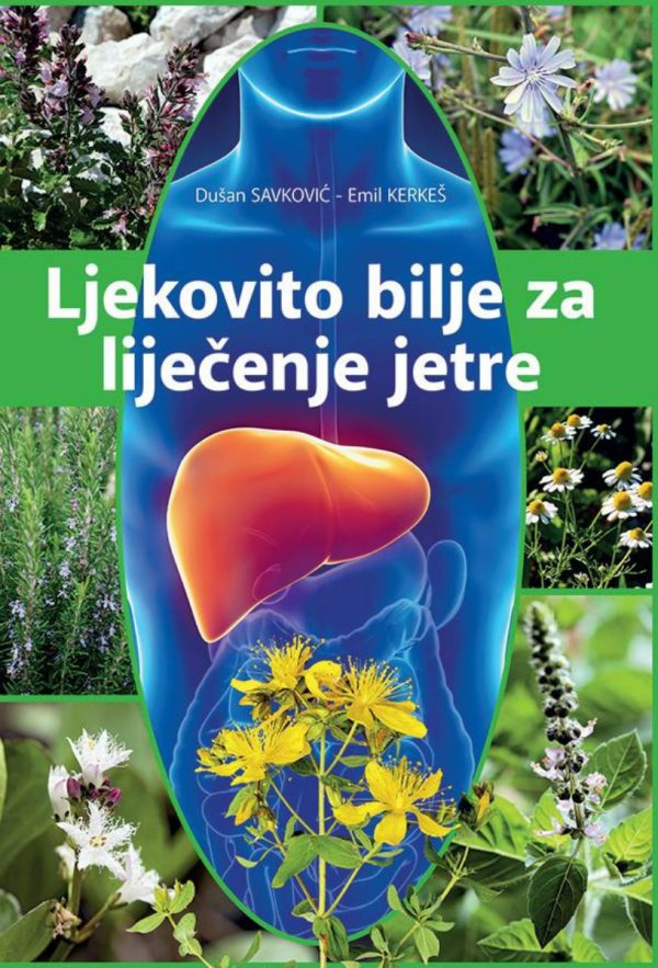 Ljekovito bilje za liječenje jetre Ljekovito bilje za liječenje jetre