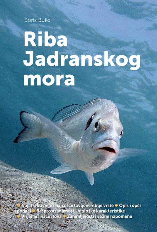 Riba jadranskog mora