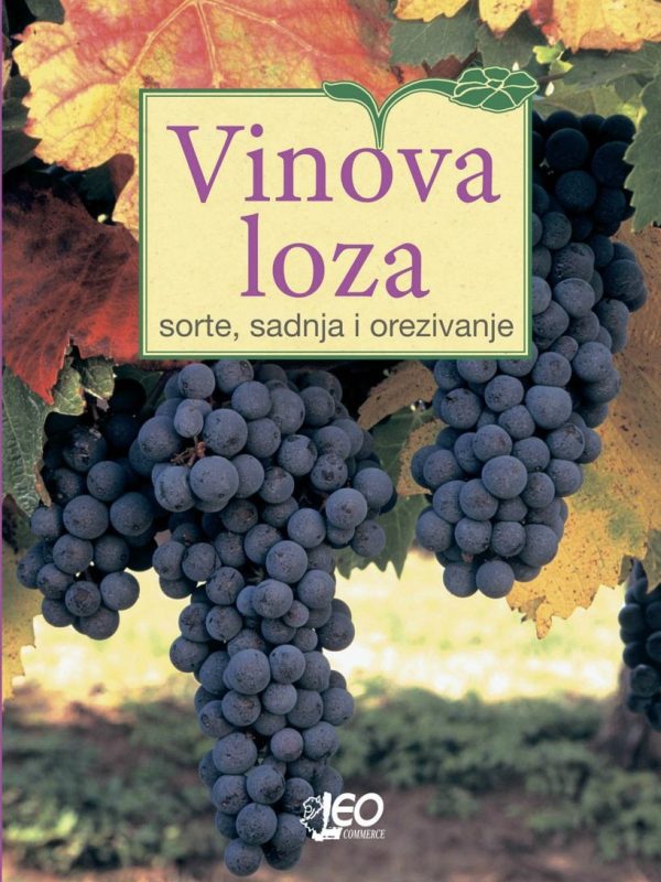 Vinova loza - sorte sadnja orezivanje