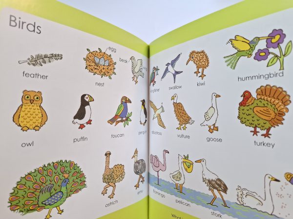 Prve riječi na engleskom Prve riječi na engleskom